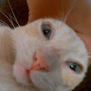 Meet your Posher, Sergio